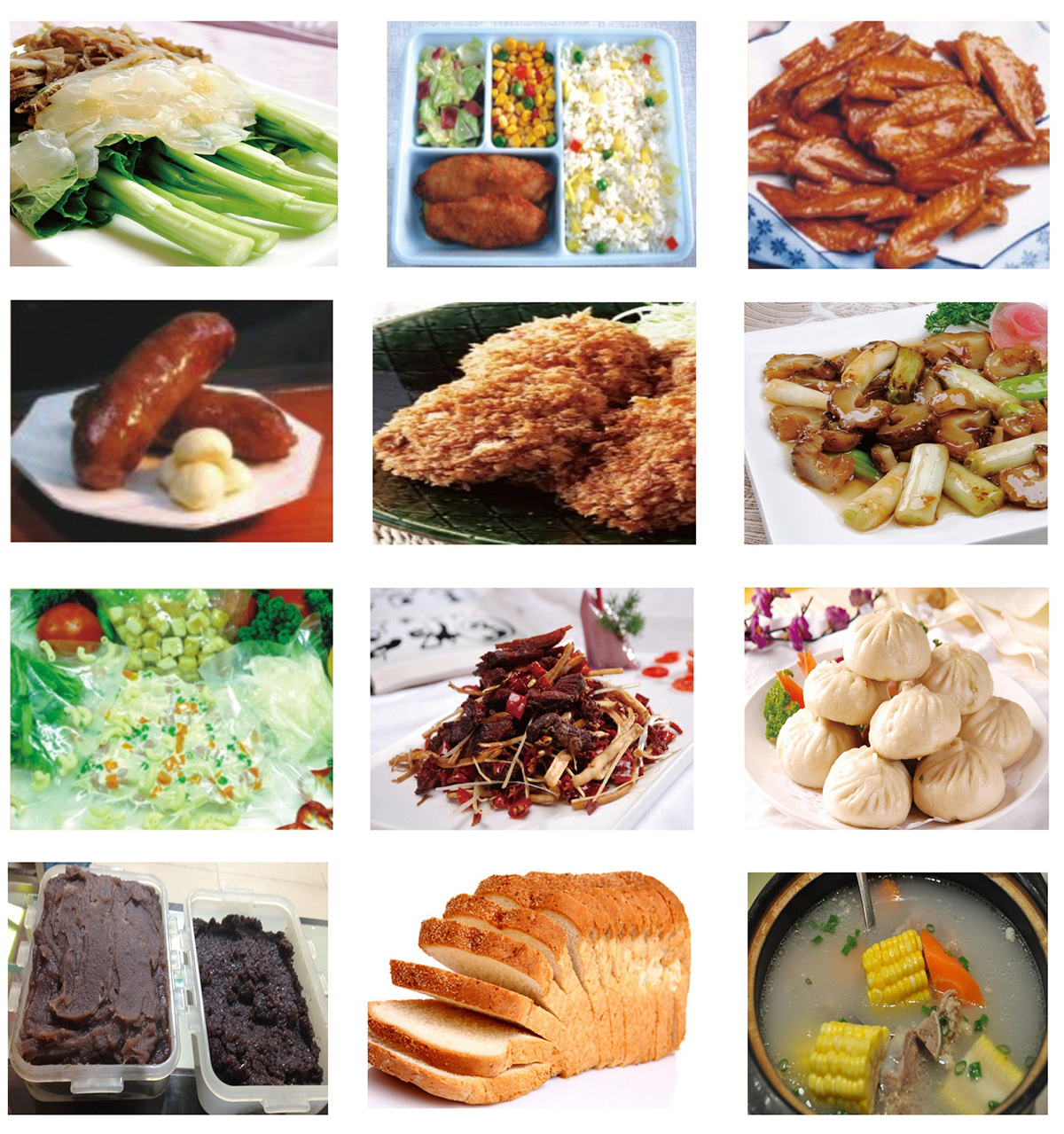 鲜食真空冷却机概述